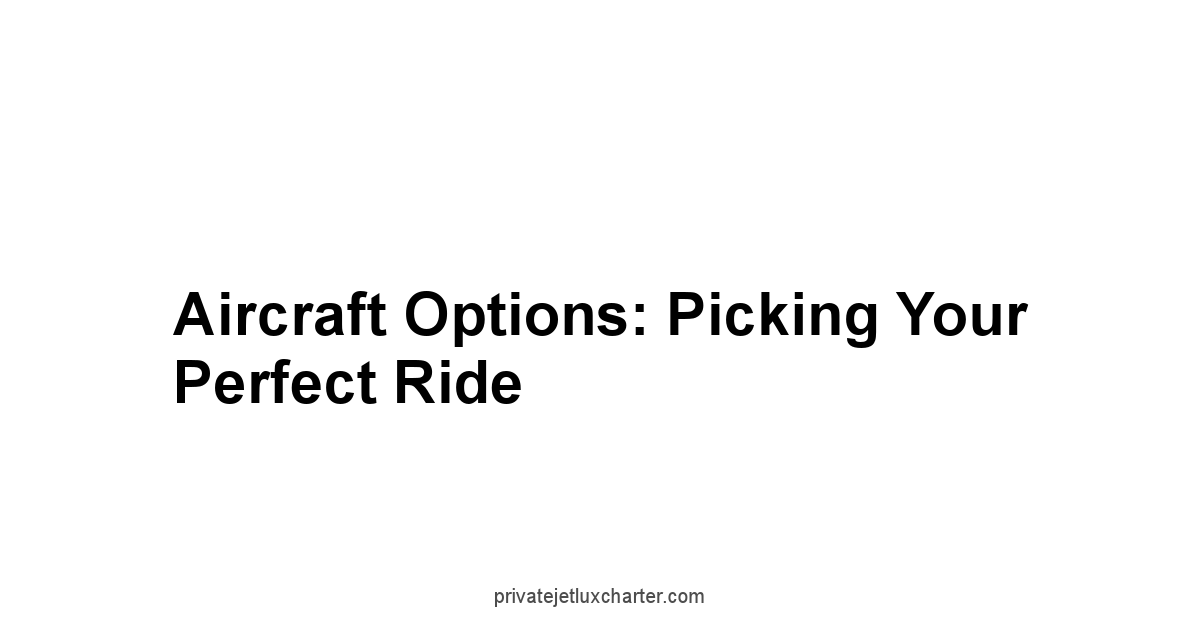 Aircraft Options: Picking Your Perfect Ride