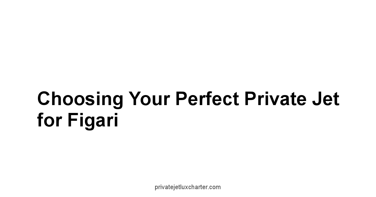 Choosing Your Perfect Private Jet for Figari