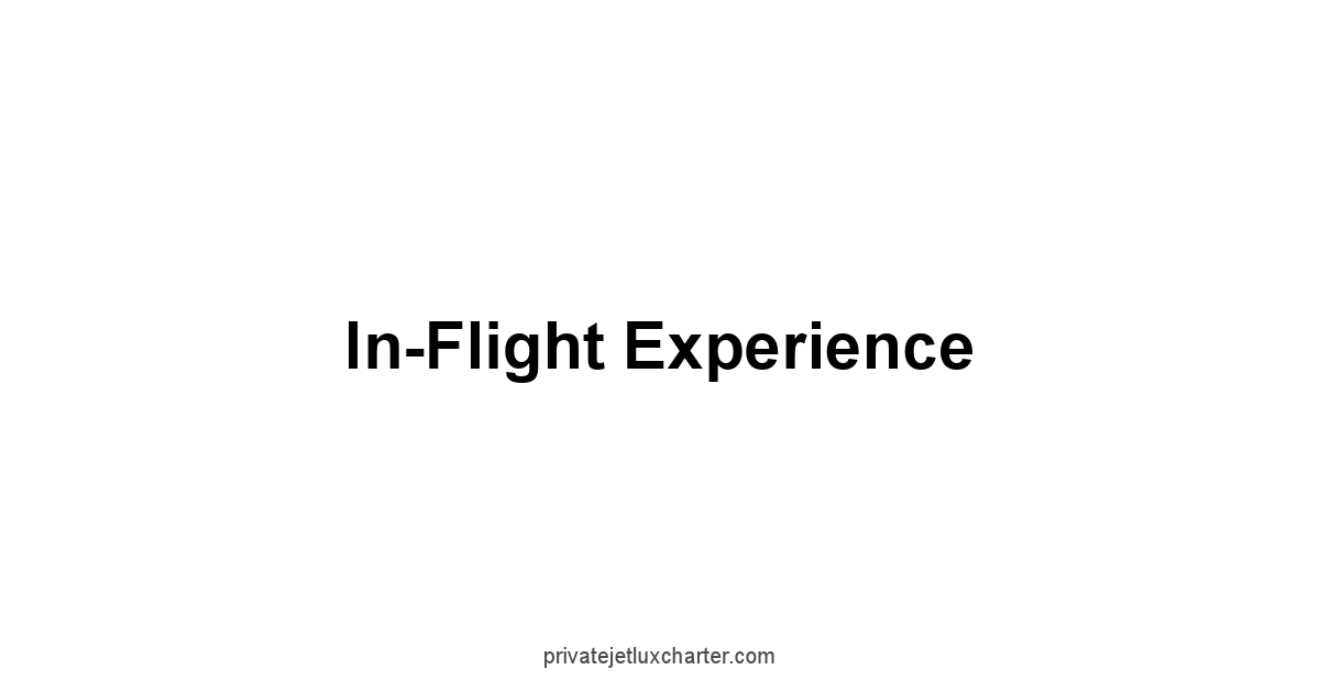 In-Flight Experience