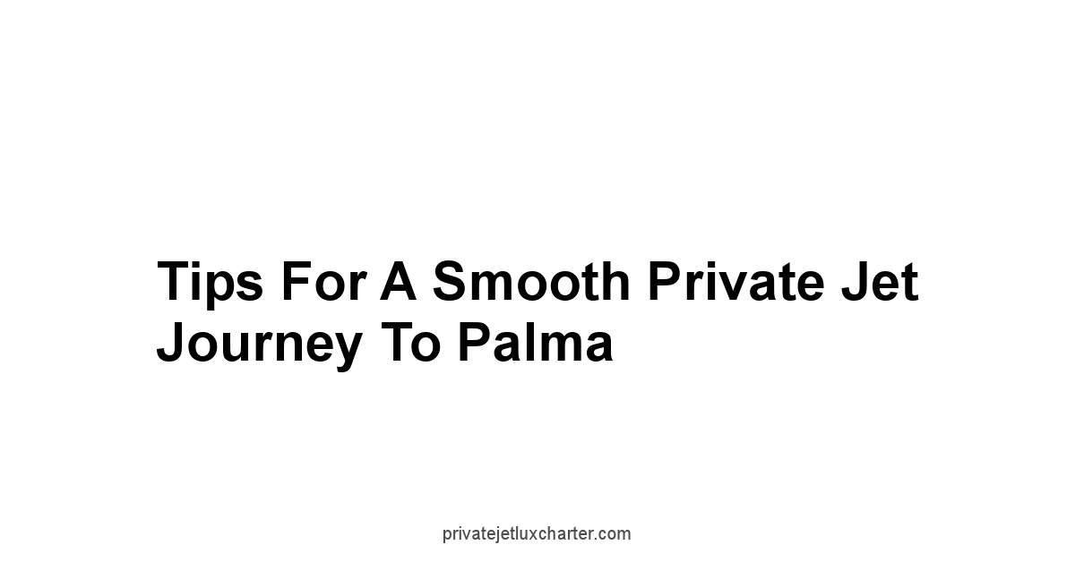 Tips for a Smooth Private Jet Journey to Palma