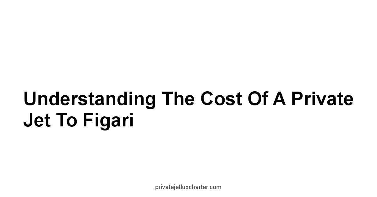 Understanding the Cost of a Private Jet to Figari