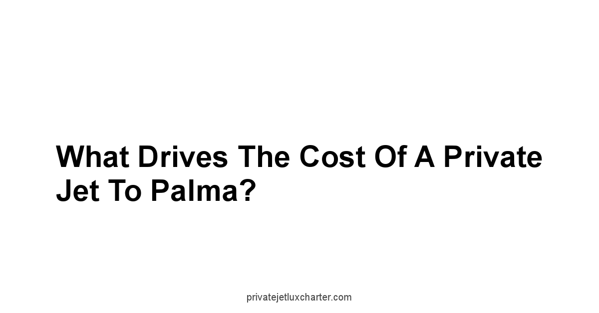 What Drives the Cost of a Private Jet to Palma?